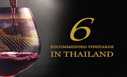 6 Recommended Vineyards in Thailand